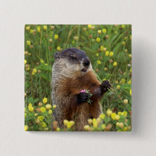 Groundhogポーズ 缶バッジ (正面)