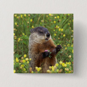 Groundhogポーズ 缶バッジ