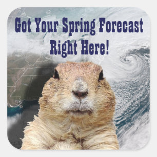 Groundhog春予測 スクエアシール