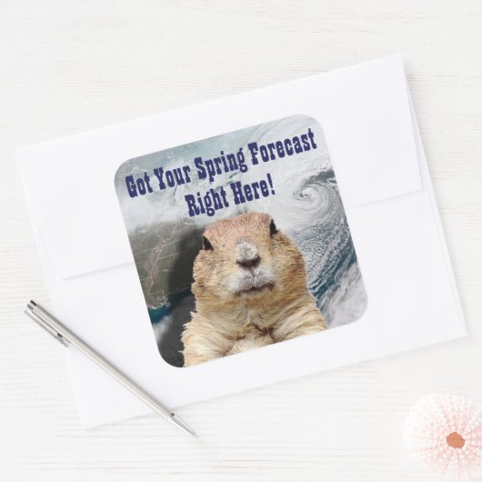 Groundhog春予測 スクエアシール (封筒)