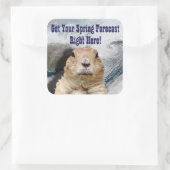 Groundhog春予測 スクエアシール (バッグ)