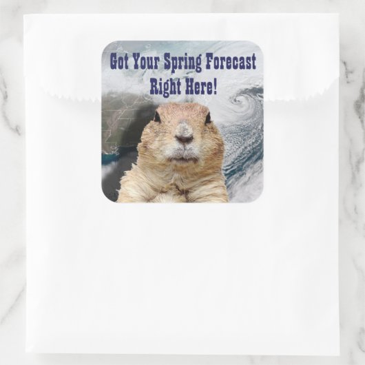 Groundhog春予測 スクエアシール (バッグ)