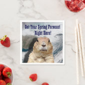 Groundhog春予測 スタンダードカクテルナプキン (インサイチュ)