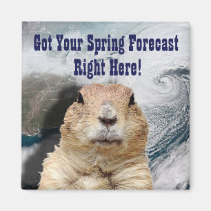 Groundhog春予測 マグネット