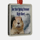 Groundhog春予測 メタルオーナメント (右)