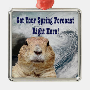 Groundhog春予測 メタルオーナメント