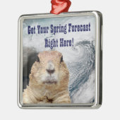 Groundhog春予測 メタルオーナメント (左)