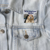 Groundhog春予測 缶バッジ (インサイチュ)