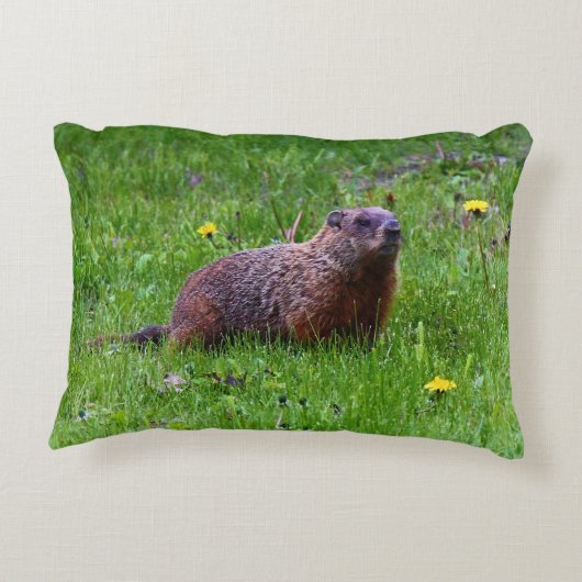 Groundhog アクセントクッション (裏面)