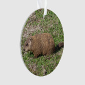 Groundhog オーナメント (正面)