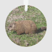 Groundhog オーナメント (裏面)