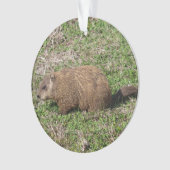 Groundhog オーナメント (正面)