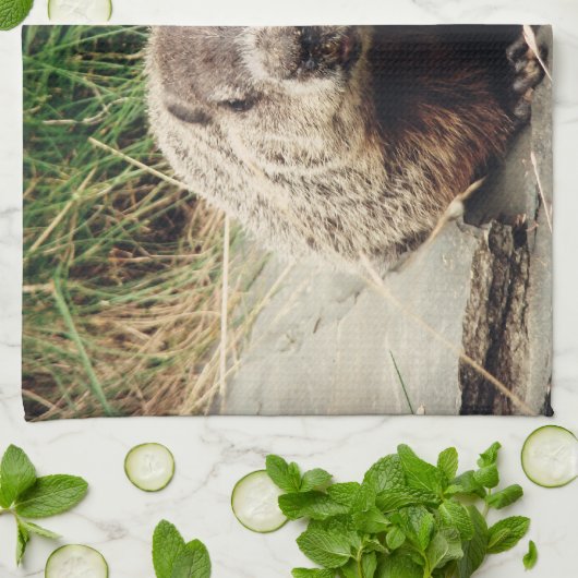 Groundhog キッチンタオル (折り畳み)