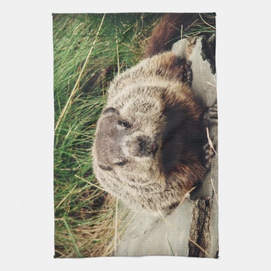 Groundhog キッチンタオル (縦)