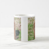 Groundhog コーヒーマグカップ (中央)