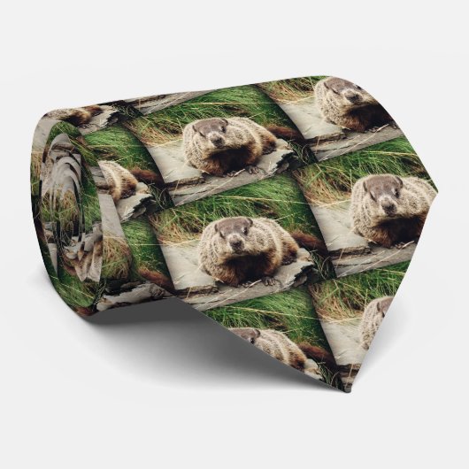 Groundhog ネクタイ (ロール)