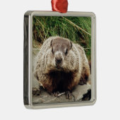 Groundhog メタルオーナメント (右)