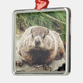 Groundhog メタルオーナメント (左)