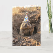 Groundhog Birthday with Party Hat カード (正面)