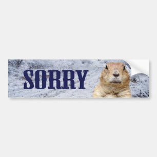 Groundhog Dayの申し訳ない バンパーステッカー