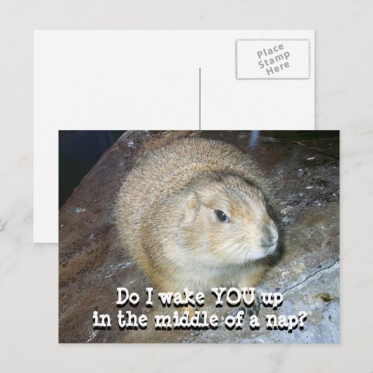 Groundhog Dayはがき ポストカード (正面/裏面)