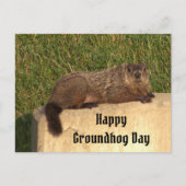 Groundhog Dayはがき ポストカード (正面)