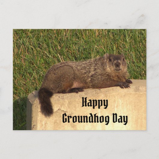 Groundhog Dayはがき ポストカード (正面)