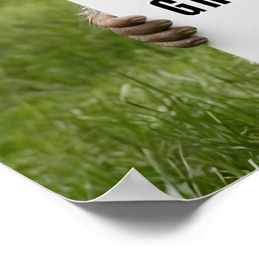 Groundhog Dayイメージ ポスター (角)