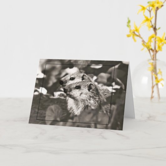 Groundhog Dayベビー カード (黄色い花)
