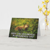 Groundhog Day保カードのGroundhog カード (黄色い花)