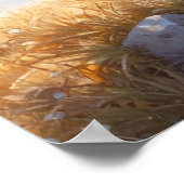 GROUNDHOG DAY ポスター (角)