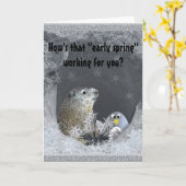 Groundhog Day Prediction:失敗専攻の! カード (黄色い花)