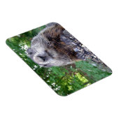 Groundhog Flexiマグネット3 x 4 マグネット (右側)