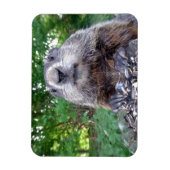 Groundhog Flexiマグネット3 x 4 マグネット (縦)