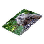 Groundhog Flexiマグネット3 x 4 マグネット (左側)