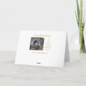 Groundhog Maudeのバースデー・カード カード (裏面)