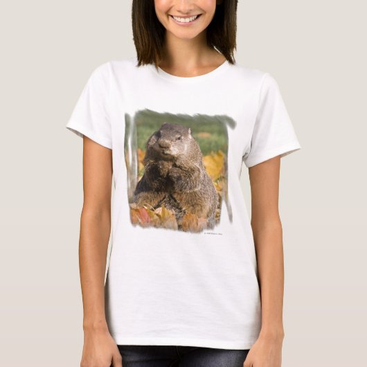 Groundhog Tシャツ (正面)