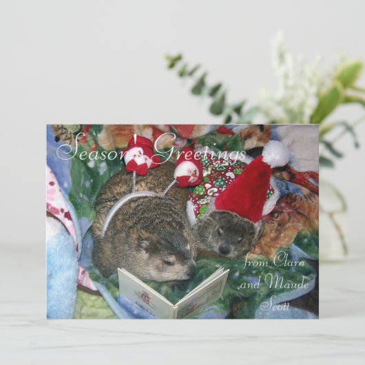 GroundhogsクララおよびMaudeの休日の挨拶 シーズンカード (スタンド正面)