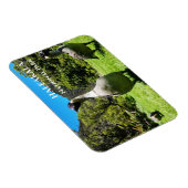 Group of Nanet, Haleakalala National Park, Maui, H マグネット (右側)