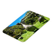 Group of Nanet, Haleakalala National Park, Maui, H マグネット (左側)