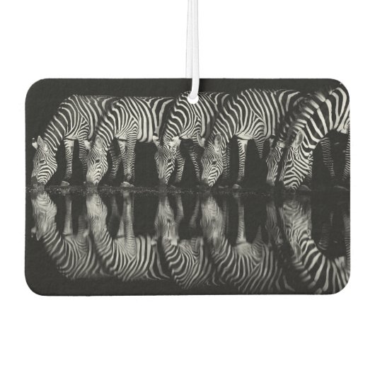 Group of Plains Zebra Drink Together at Night カーエアーフレッシュナー (正面)