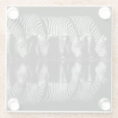 Group of Plains Zebra Drink Together at Night ガラスコースター (裏面)