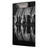 Group of Plains Zebra Drink Together at Night クリップボード (左)