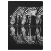 Group of Plains Zebra Drink Together at Night クリップボード (裏面)