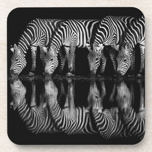 Group of Plains Zebra Drink Together at Night コースター (正面)