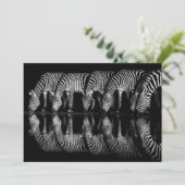 Group of Plains Zebra Drink Together at Night サンキューカード (スタンド正面)