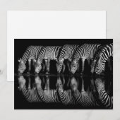 Group of Plains Zebra Drink Together at Night サンキューカード (正面/裏面)