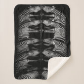 Group of Plains Zebra Drink Together at Night シェルパブランケット (正面)