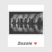 Group of Plains Zebra Drink Together at Night シール (シート)