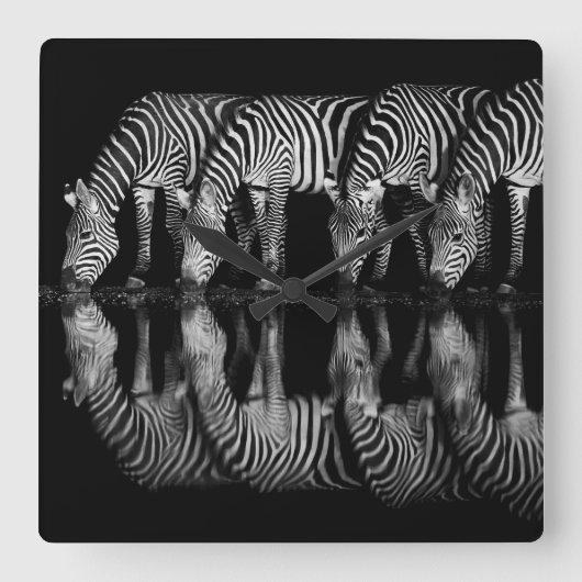 Group of Plains Zebra Drink Together at Night スクエア壁時計 (正面)